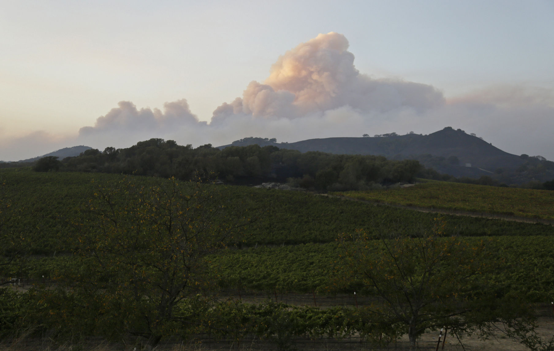 California Wildfires